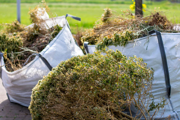 Best Electronics Removal Services  in Irvine, CA